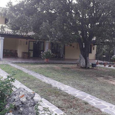 Agriturismo La Tuva Villa Padru Exteriör bild