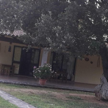 Agriturismo La Tuva Villa Padru Exteriör bild