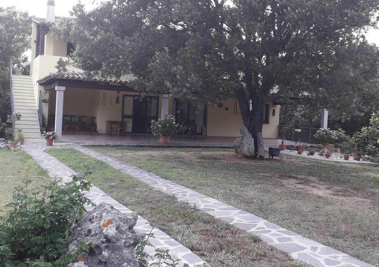 Agriturismo La Tuva Villa Padru Exteriör bild