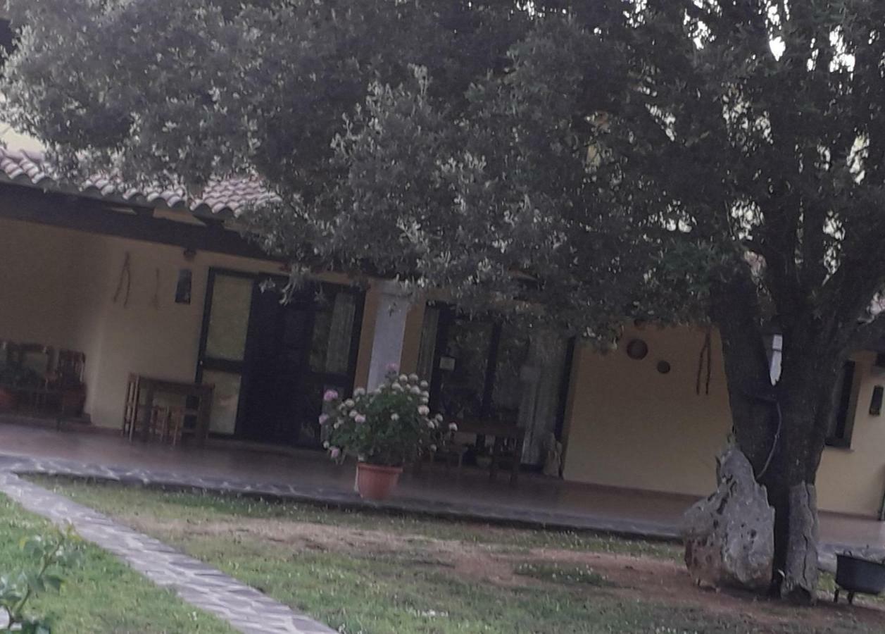 Agriturismo La Tuva Villa Padru Exteriör bild